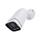 Caméra de vidéosurveillance 5Mp PNI IP7729