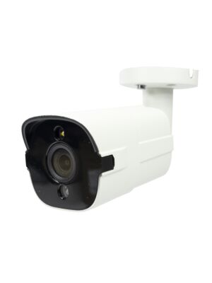 Caméra de vidéosurveillance