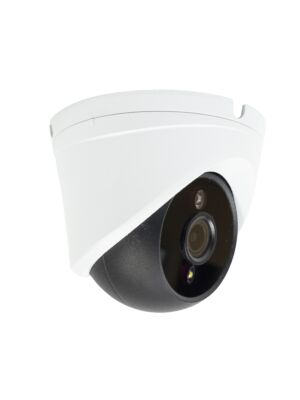 Caméra de vidéosurveillance