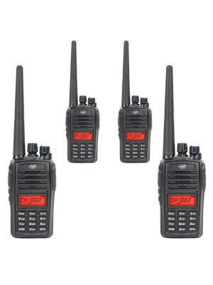 Ensemble radio portable PMR