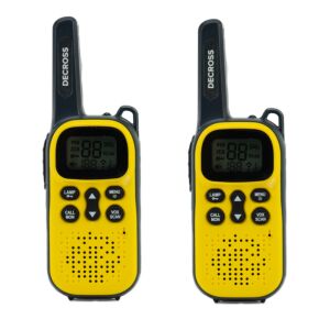 Station radio portable Decross DC43