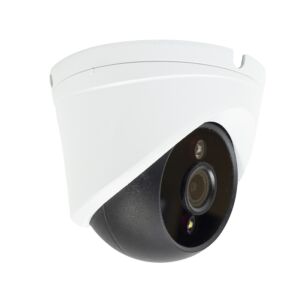 Caméra de vidéosurveillance